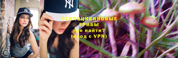 MDMA Белокуриха