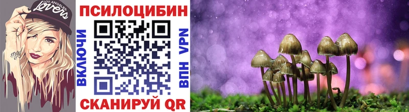ссылка на мегу как зайти  Сердобск  Псилоцибиновые грибы Magic Shrooms  купить  