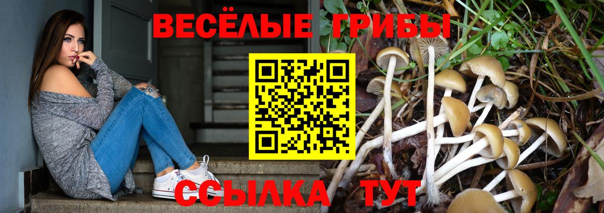 Галлюциногенные грибы прущие грибы Сердобск